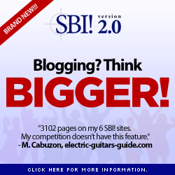 Looking for web business success?