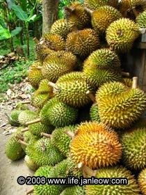 A pile of durians, yummy!